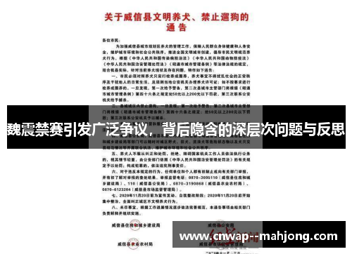 魏震禁赛引发广泛争议，背后隐含的深层次问题与反思